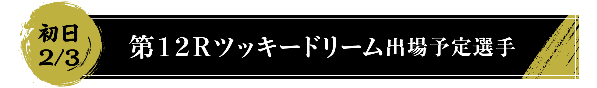 初日2/3 第１２Ｒツッキードリーム出場予定選手