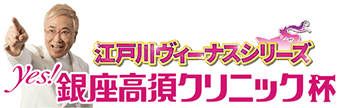 江戸川ヴィーナスシリーズ・Yes！銀座高須クリニック杯